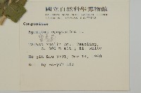 霍香薊藏品圖，第2張