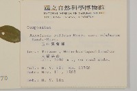 臺灣鬼督郵藏品圖，第2張