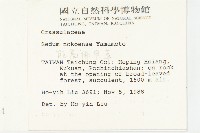 能高佛甲草藏品圖，第2張