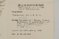 地膽草、毛蓮菜藏品圖，第2張