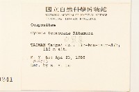 白鳳菜藏品圖，第2張