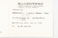 狗娃花藏品圖，第2張