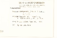 兔仔菜藏品圖，第2張