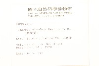 蔓黃菀藏品圖，第2張