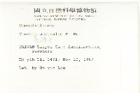 菟絲子藏品圖，第2張