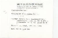 土丁桂藏品圖，第2張