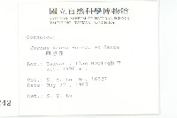 四照花藏品圖，第2張