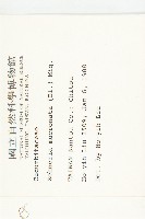 黑果馬交兒藏品圖，第2張