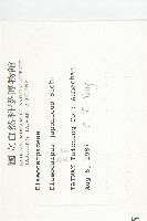 薯豆藏品圖，第2張