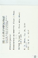 杜英、山杜英、蘭嶼杜英藏品圖，第2張