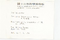 臺灣馬桑藏品圖，第2張