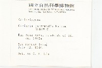 臺灣馬桑藏品圖，第2張