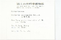 臺灣馬桑藏品圖，第2張