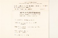 紫背草藏品圖，第2張