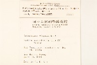 紫背草藏品圖，第2張