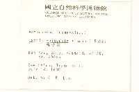 兔仔菜藏品圖，第2張