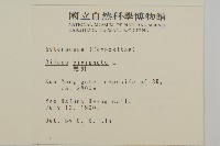 鬼針藏品圖，第2張