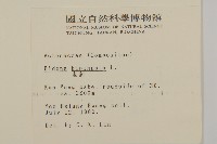 鬼針藏品圖，第2張