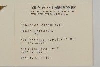 鬼針藏品圖，第2張