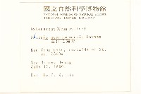 玉山毛蓮菜藏品圖，第2張