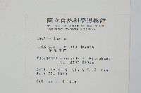 苗栗冬青藏品圖，第2張