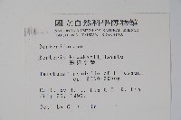 臺灣小蘗藏品圖，第2張