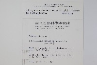 玉山沙參藏品圖，第2張