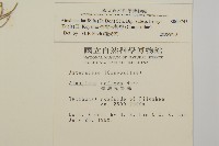 臺灣鬼督郵藏品圖，第2張