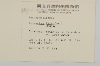 狗筋蔓藏品圖，第2張