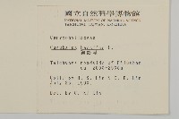 狗筋蔓藏品圖，第2張