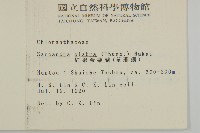 草珊瑚、紅果金粟蘭藏品圖，第2張