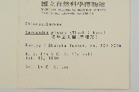 草珊瑚、紅果金粟蘭藏品圖，第2張