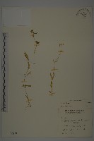 登錄號:S000825藏品圖，第1張