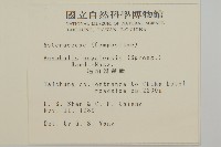 尼泊爾籟簫藏品圖，第2張