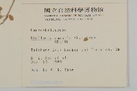 鵝兒腸藏品圖，第2張