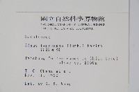 臺灣赤楊、臺灣榿木藏品圖，第2張