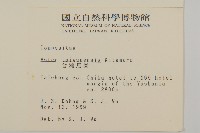 臺灣馬蘭藏品圖，第2張