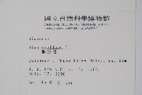 臙脂樹藏品圖，第2張