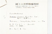 野牽牛藏品圖，第2張