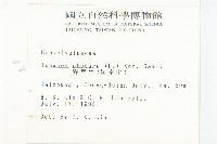 野牽牛藏品圖，第2張