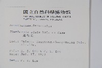 黑眼花藏品圖，第2張