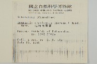 尼泊爾籟簫藏品圖，第2張