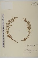 高山艾藏品圖，第1張