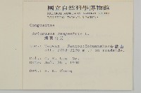 高山艾藏品圖，第2張