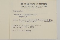 高山艾藏品圖，第2張