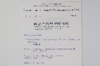 盾果草藏品圖，第2張