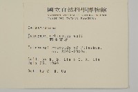 刺果衛矛藏品圖，第2張