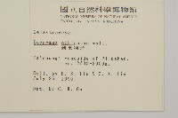 刺果衛矛藏品圖，第2張