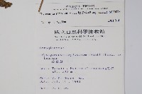 盾果草藏品圖，第2張