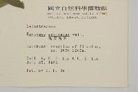 刺果衛矛藏品圖，第2張